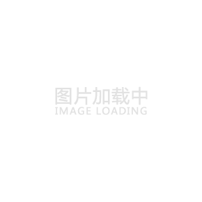 ssn社安號